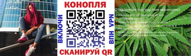 Бошки Шишки Сельцо