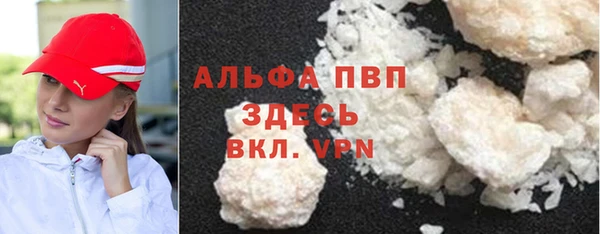 гашик Арсеньев
