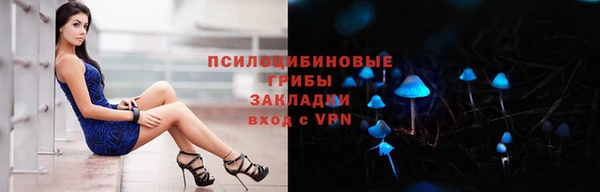 гашик Арсеньев