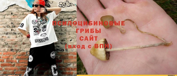 стафф Аркадак